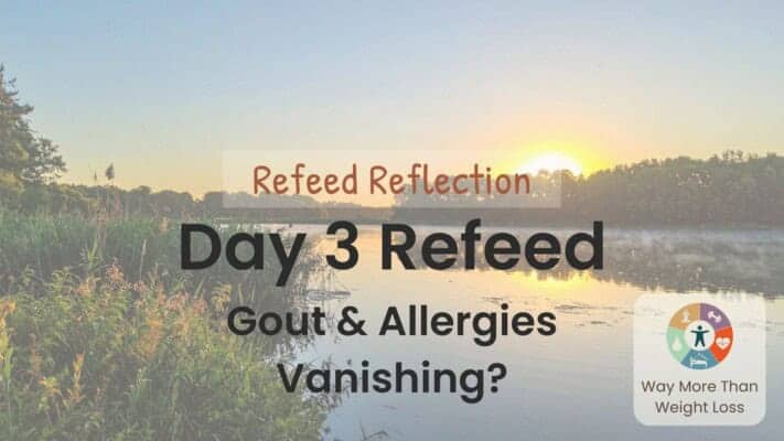 Sunset over water with trees. Text: Refeed Reflection Day 3 Refeed Gout & Allergies Vanishing? WMTWL logo shown.